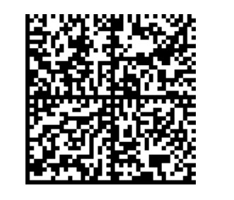 Пример GS1 DataMatrix в чеке